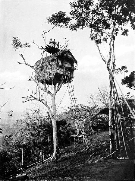 HistPOM-11a-Koiari village 1885.jpg - Tree house, Koiari village 1885; source: Saturday Independent 1 July 1995